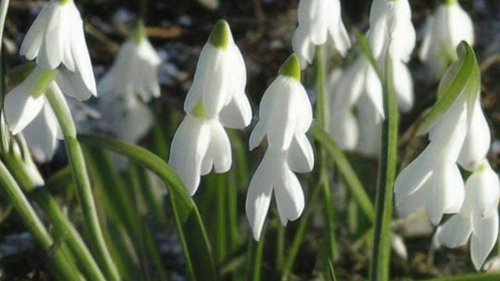 Солнечные бомбы угрожают цивилизации: космический апокалипсис уже начался!